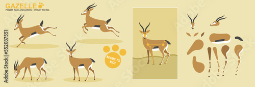 Fototapeta Naklejka Na Ścianę i Meble -  Cute animation Gazelle, ready to animate and rig, collection of poses, set for animation, Gazelle jumping, safari animals, vector collection, set. 