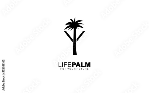 Y logo PALM for identity. tree template vector illustration for your brand.