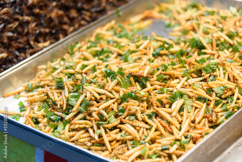 a lot of Beetle Fried Worms in tray
