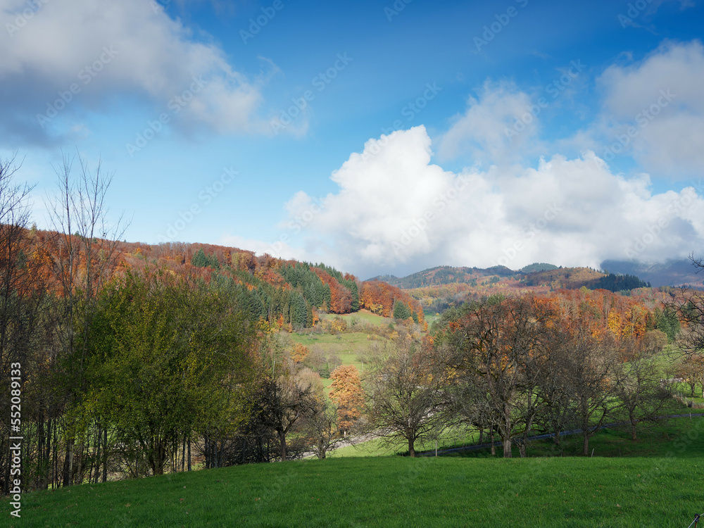 Herbstfarbene Landschaften im Kanderntal. Wanderweg zwischen Wiesen und Wäldern in Herbstfarben zwischen Kandern und Sitzenkirch