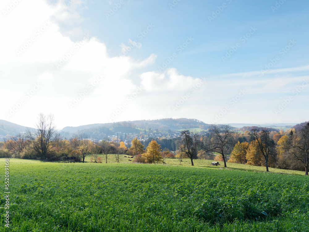 Blick auf Kandern, Kleinstadt im Landkreis Lörrach in Baden-Württemberg im Markgräflerland am Fuße des Schwarzwaldes 