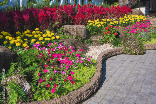 Various colorful flowers with green plants in decorative garden on pavement floor in public park area