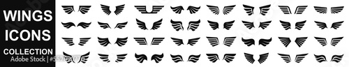 Wings icons set. Set of black wings icons. Wings badges. Set of wings icons. Simple set of wings vector icons. Vector illustration