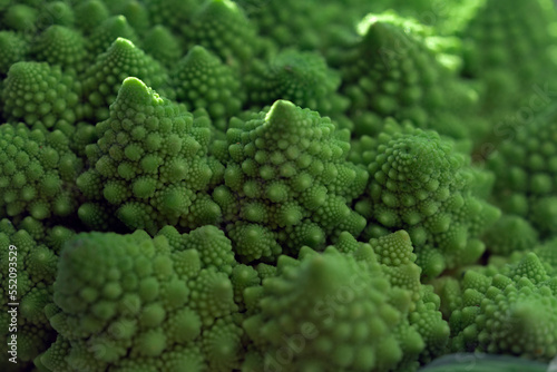 Green vegetable background of Romanesco cabbage. Romanesco cabbage close-up. Agricultural business. Growing vegetables. Plant growing.