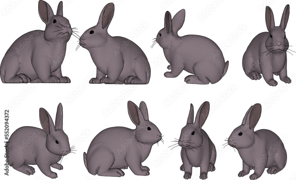 white background Rabbit design collection1
