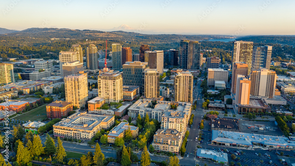 Naklejka premium Aerial Views of Bellevue City Washington, USA