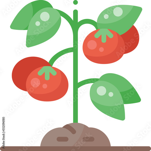 Plant Tomatoes organic nature field garden ranch plant farming farm  flat icon