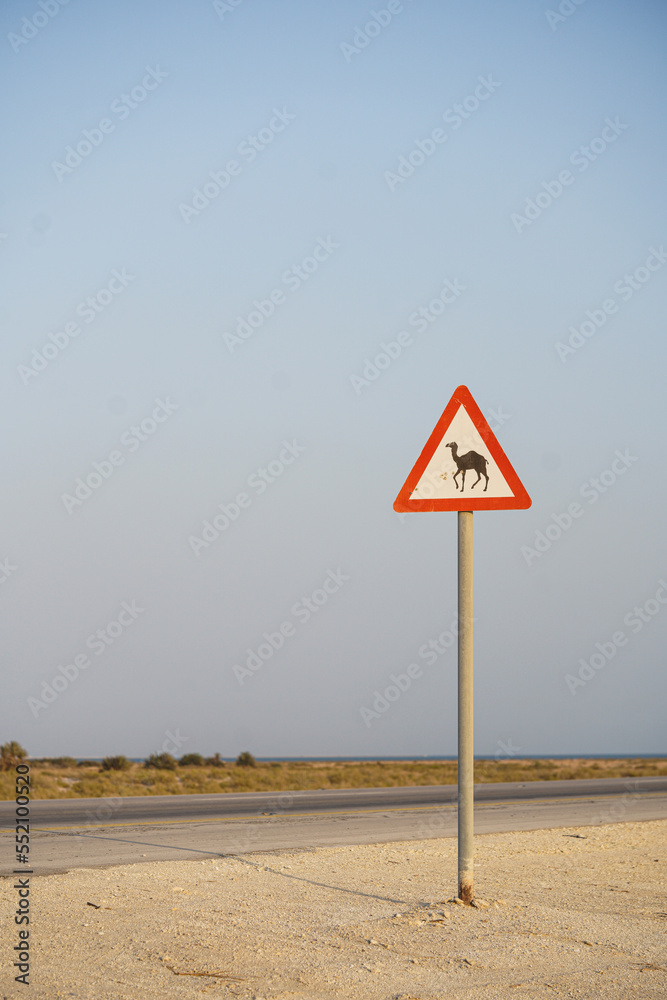 Camel warning sign on the road in the desert.