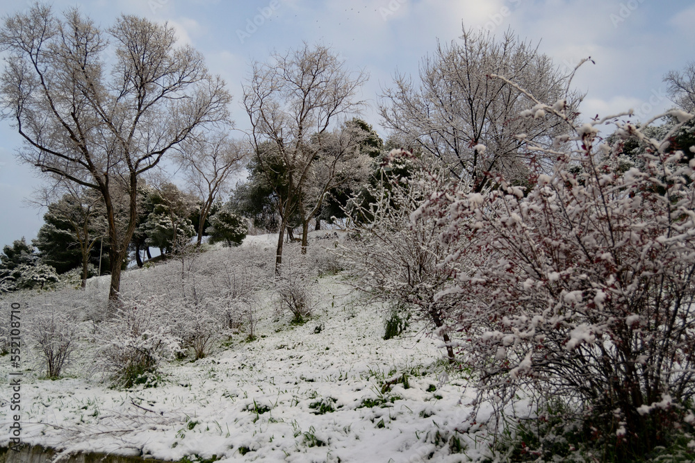 Snow. Winter. Streets covered in a white blanket of snow that covers