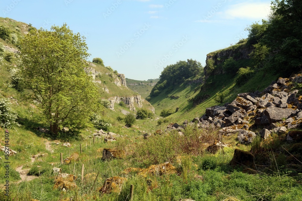 View down Lathkill Dale, Derbyshire England