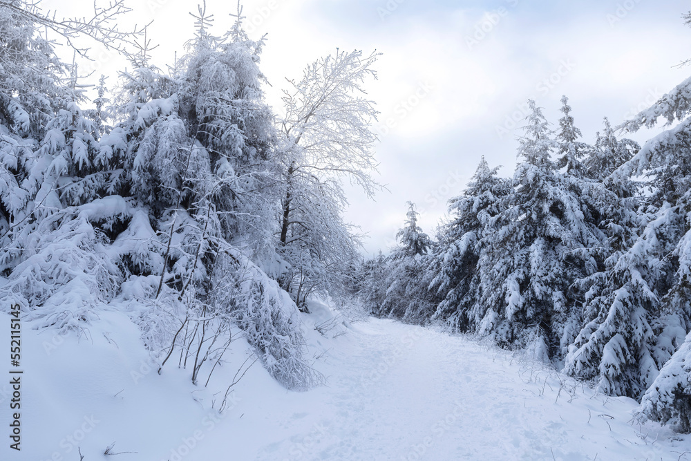 Snow-covered landscape on the Großer Feldberg in the Taunus/Germany