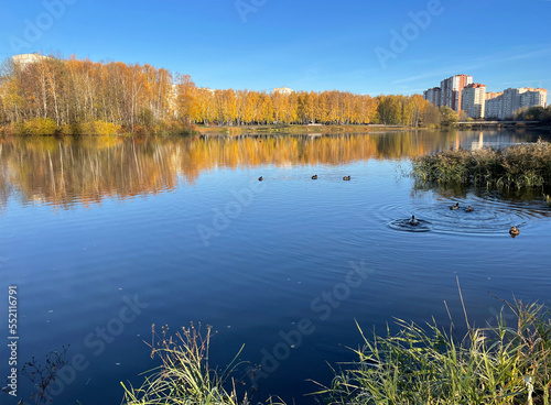 Pekhorka river in sunny autumn day. Moscow region  city of Balashikha  Russia