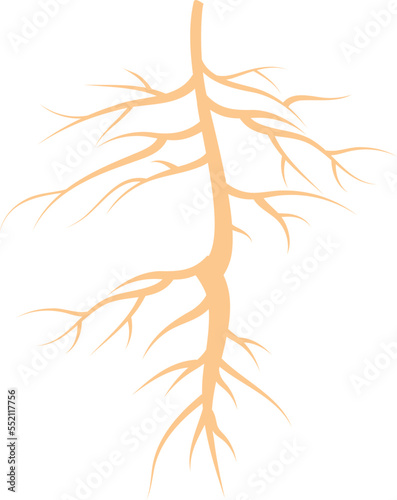 Plant root icon. Yellow growing natural shape