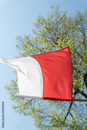 Polish white and red flag waving in the wind against the blue sky and tree branches with developing leaves. Spring national holiday in Poland.