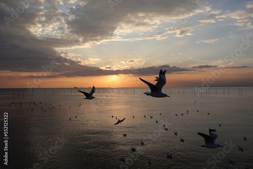 seagulls flying on the beach at sunset