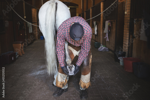 Fotografija Busy European blacksmith shoves back hoof of white horse