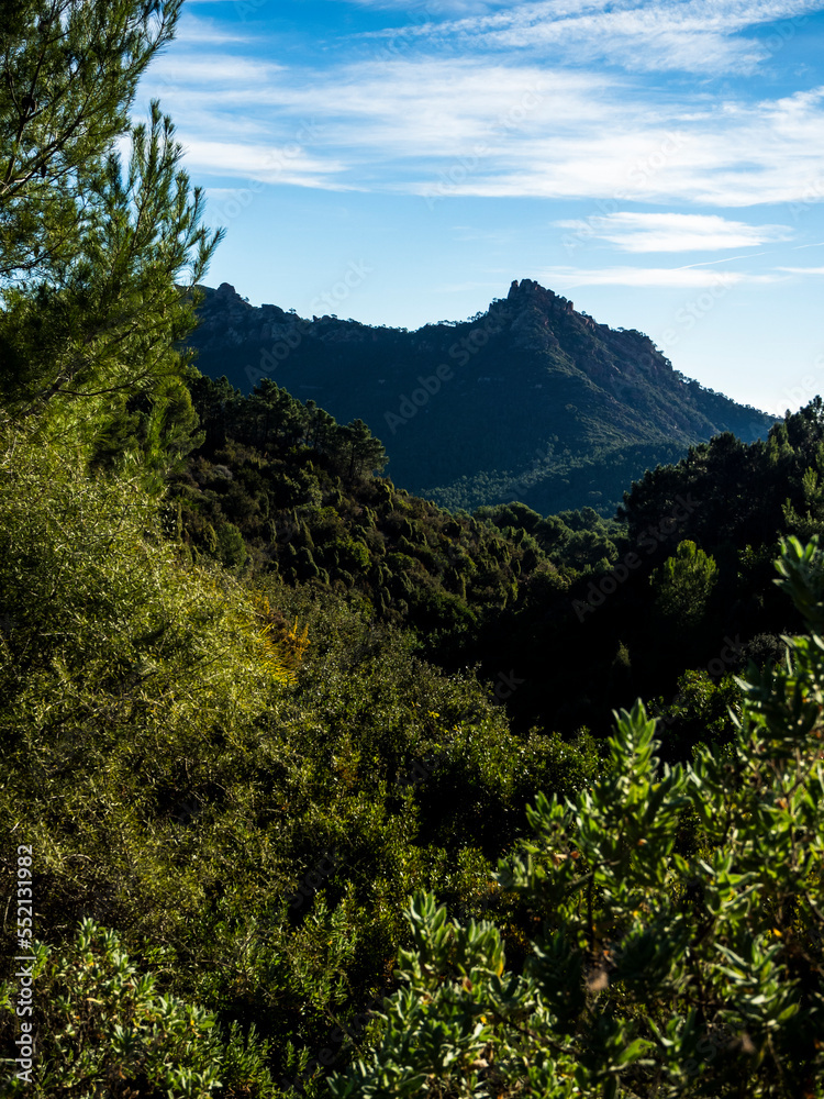 imagen de una montaña entre la naturaleza verde, árboles y plantas, con el cielo azul de fondo imagen de una montaña entre la naturaleza verde, árboles y plantas, con el cielo azul de fondo