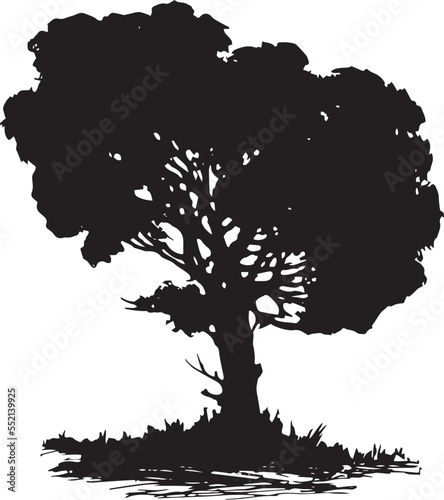 Cypress Vector 