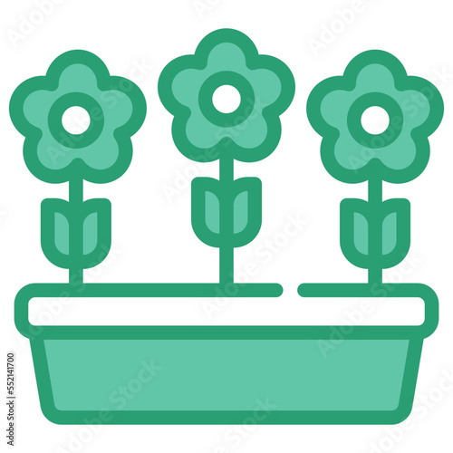 growth