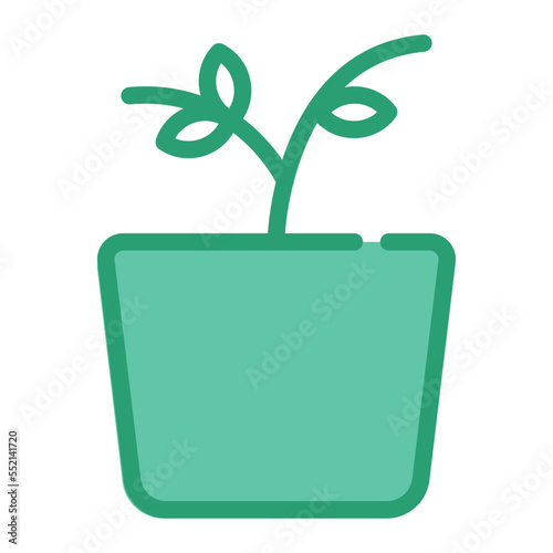 plant