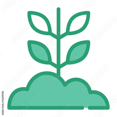 sprout
