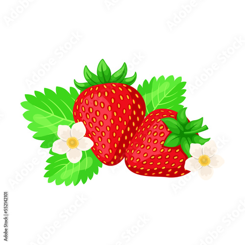 Strawberry cartoon illustration. Fresh ripe red berries with flowers isolated on white background