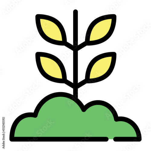 sprout