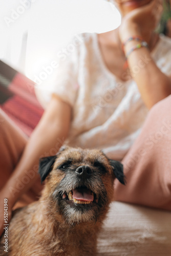 Dog with latina owner