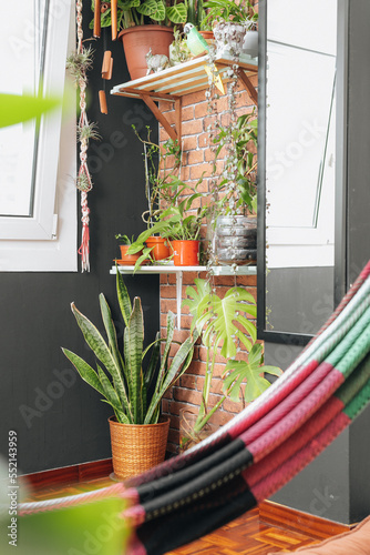 Living room with hammock