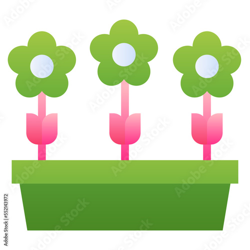 growth