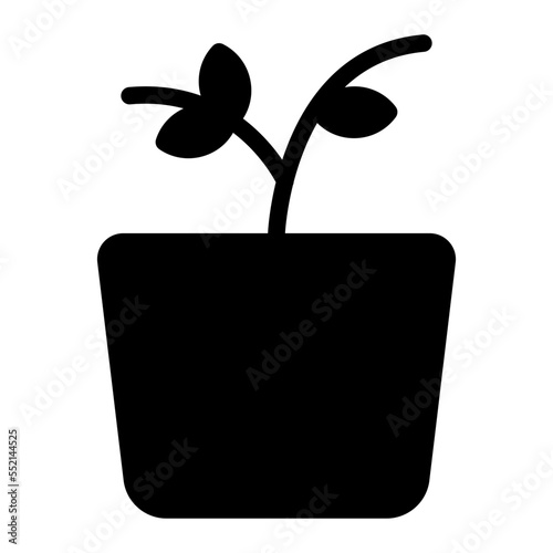 plant