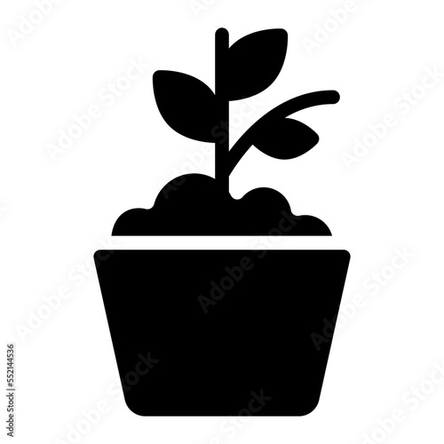 pot