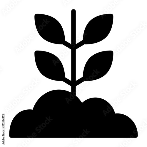 sprout