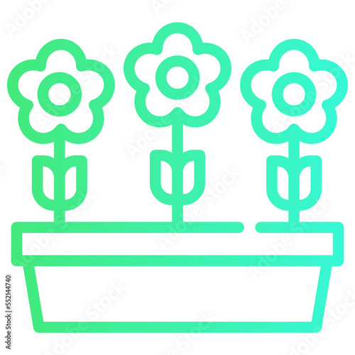 growth