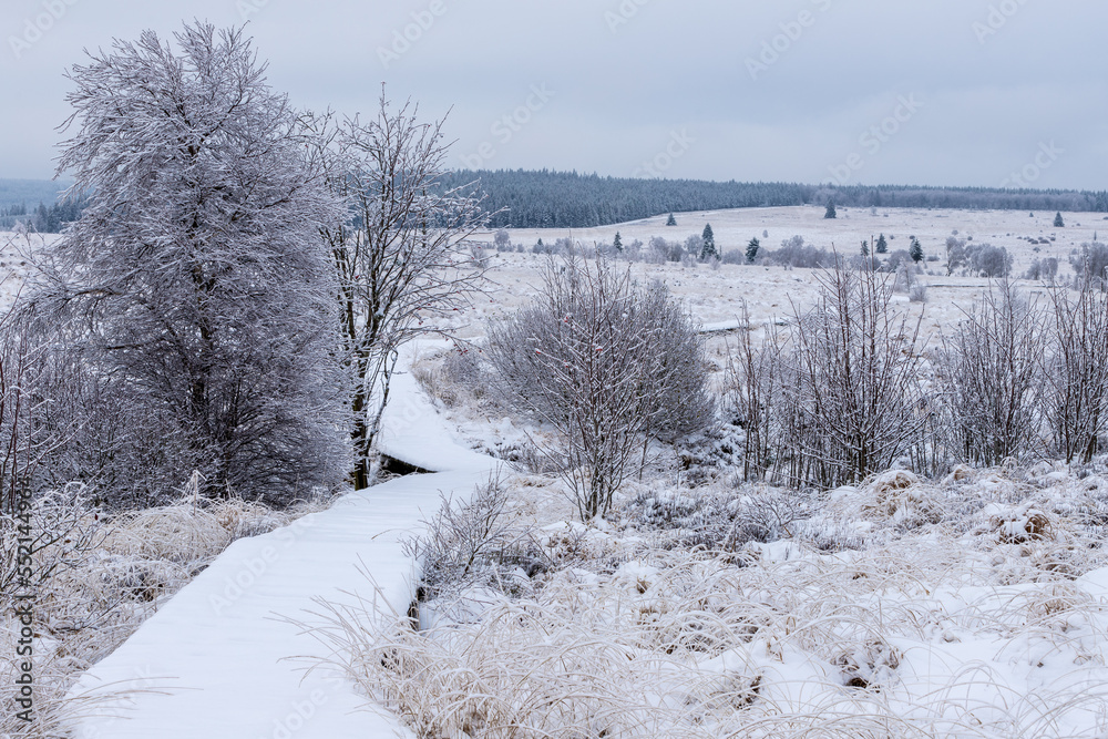 Fresh snow fall in the high fens of Baraque Michel of the Belgium Ardennes covering the landscape under a white layer creating a pure and serene view in this unique natural park in Europe Fresh snow fall in the high fens of Baraque Michel of the Belgium Ardennes covering the landscape under a white layer creating a pure and serene view in this unique natural park in Europe