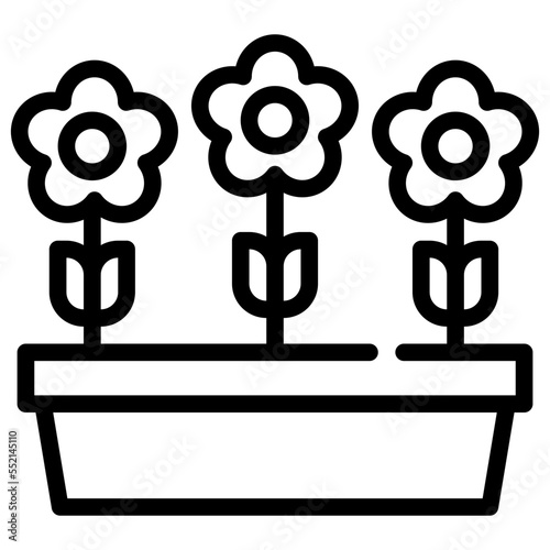 growth
