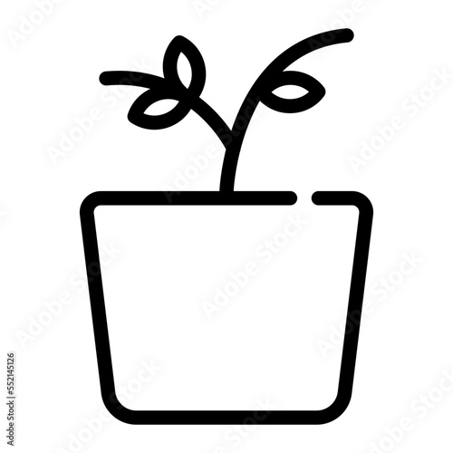 plant