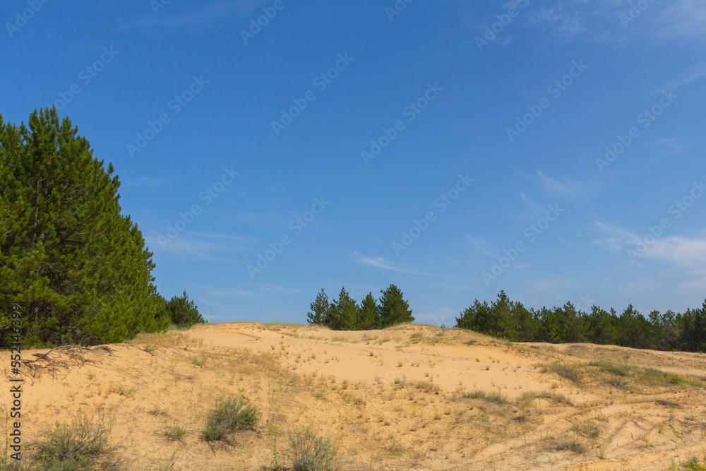 Obraz premium View of the Oleshkiv sands - the Ukrainian desert near the city of Kherson. Ukraine