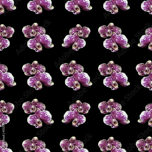 Yellow orchid with burgundy spots on black background. Isolated flowers. Seamless floral pattern for fabric, textile, wrapping paper. Tropical flowers