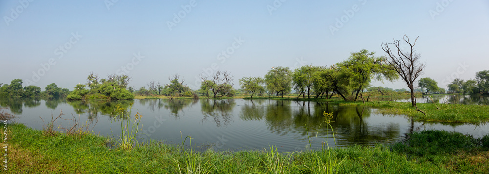 Beautiful lake of Keoladeo Ghana National Park, Bharatpur, India