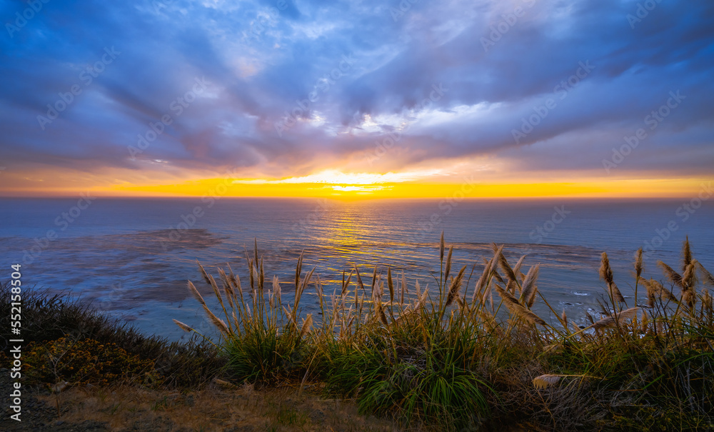 Beautiful sunset over the Pacific ocean, Big Sur, California. Cloudy sky, quiet water, and native plants in golden sunlight