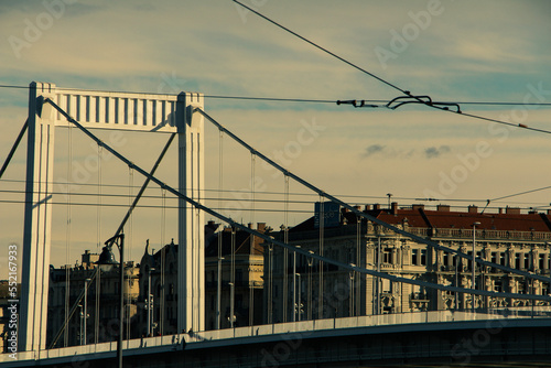 Canvas Print Elizabeth Bridge from several angles