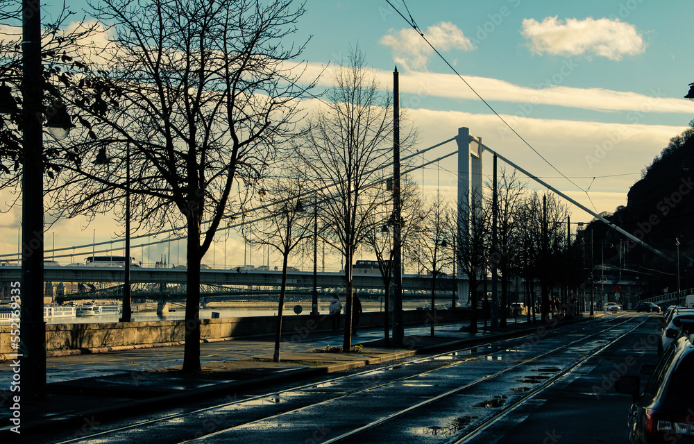 Fototapeta premium Elizabeth Bridge from several angles