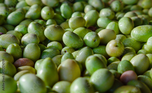 Green organic olive fruits. Selective focus on a pile of olives.