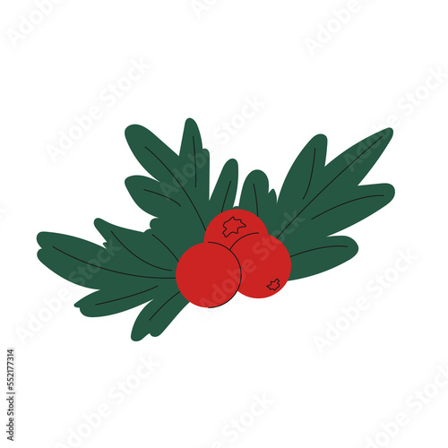 Winter red berries Vector flat Illustration. Christmas decoration elements.