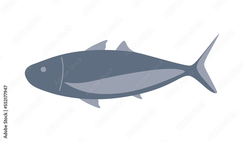 Atlantic bluefin tuna fish isolated. illustration Atlantic bluefin tuna fish on white background. vector eps10 Atlantic bluefin tuna fish isolated. illustration Atlantic bluefin tuna fish on white background. vector eps10