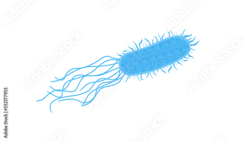 Legionella bacteria vector. Bacterium legionella illustration isolated on white background. Bacterial Legionnaires disease concept. vector illustration eps 10 photo