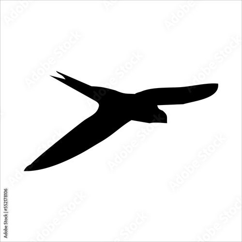 Apus bird silhouette in black. Flying Apus bird silhouette isolated on white background. vector eps10.