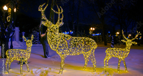 Christmas decorative light garland in the park