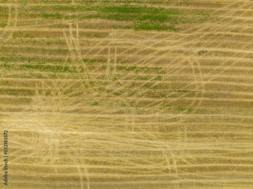 High angle aerial view on agricultural wheat field. Rural farming in Switzerland. High angle aerial view on agricultural wheat field. Rural farming in Switzerland.
